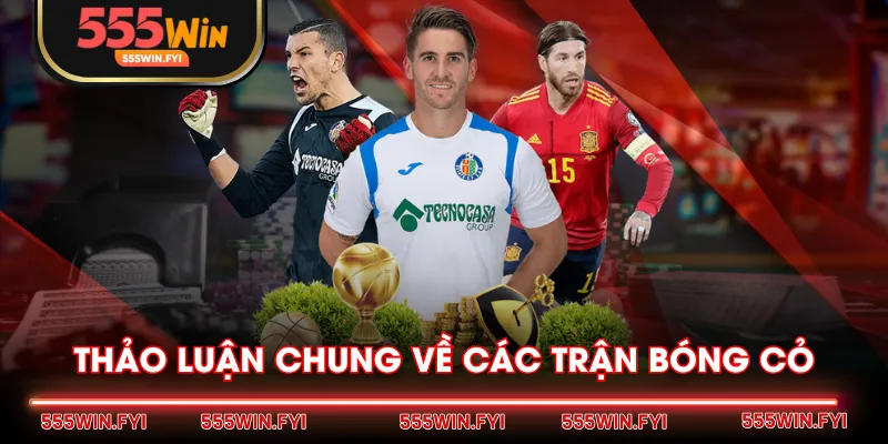 Thảo luận chung về các trận bóng cỏ